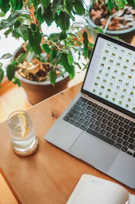 Laptop on a wooden desk beside indoor plants